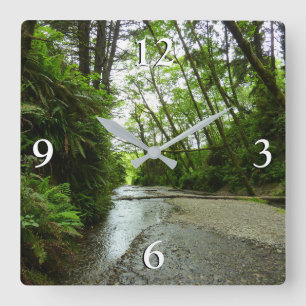 Horloge Carrée Fern Canyon II au parc national Redwood