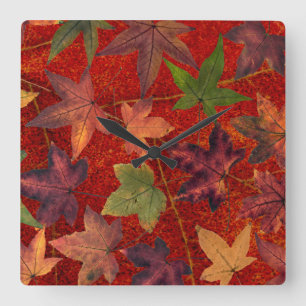 Horloge Carrée Feuilles d'automne Saison d'automne Feuilles d'arb