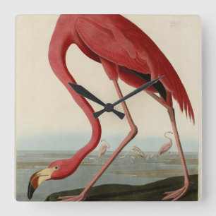 Horloge Carrée Flamant rose d'Amérique de Birds of America d'Audu