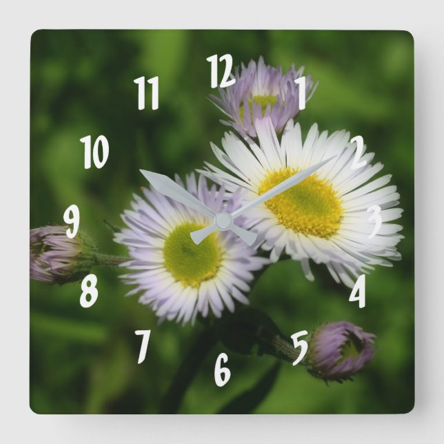Horloge Carrée Fleabane Tiny Daisies Fleur (Recto)