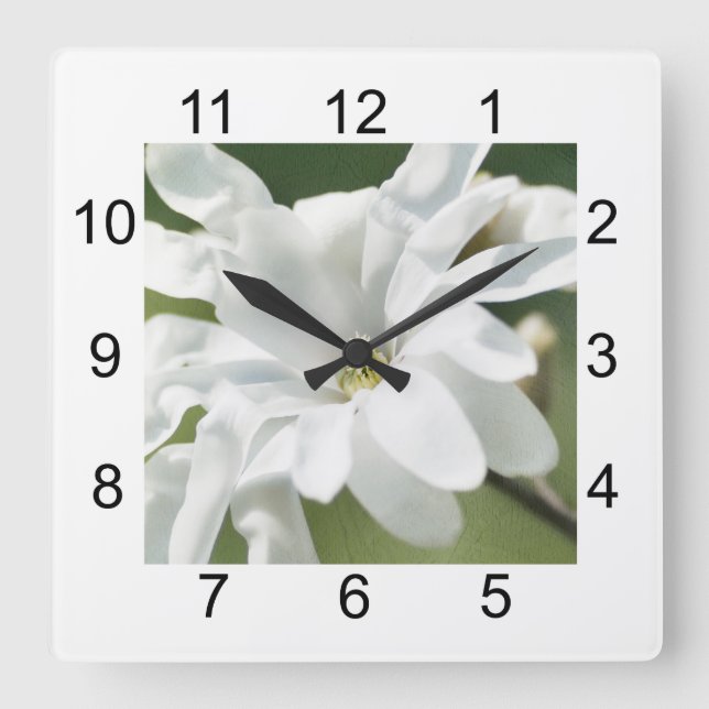 Horloge Carrée Fleur blanche de Magnolia (Recto)