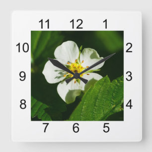 Horloge Carrée Fleur de fraisier sauvage