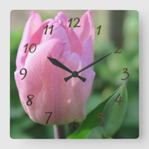 Horloge Carrée fleur de tulipe rose floraison de printemps