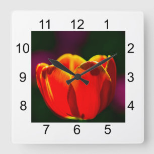 Horloge Carrée Fleur de tulipe rouge
