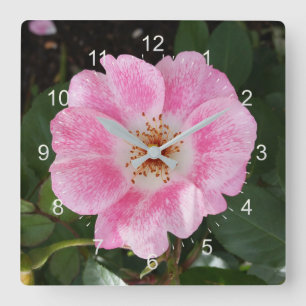 Horloge Carrée fleur rose à l'ombre