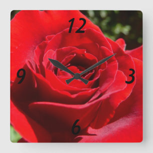 Horloge Carrée Fleur rose rouge vif Belle florale