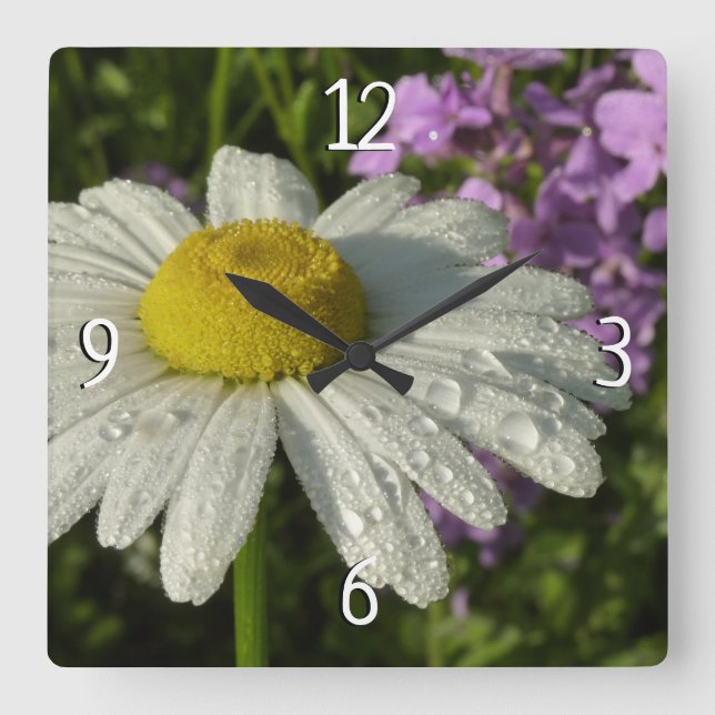 Horloge Carrée Fleur sauvage Daisy et Summer Lilac (Recto)
