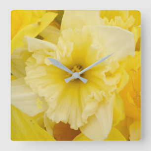 Horloge Carrée Fleurs assez jaunes de jonquille