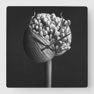 Horloge Carrée Fleurs B&W Allium Flower Bud