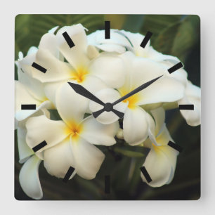 Horloge Carrée Fleurs de bouquet de Frangipani