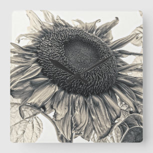 Horloge Carrée Fleurs de soleil géantes Vintage Sepia Floral Art