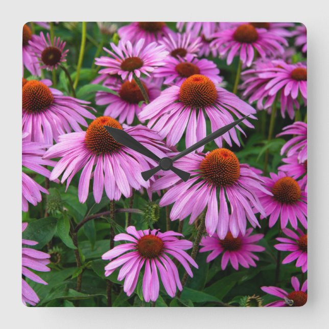 Horloge Carrée Fleurs | Jardin aux fleurs roses (Recto)