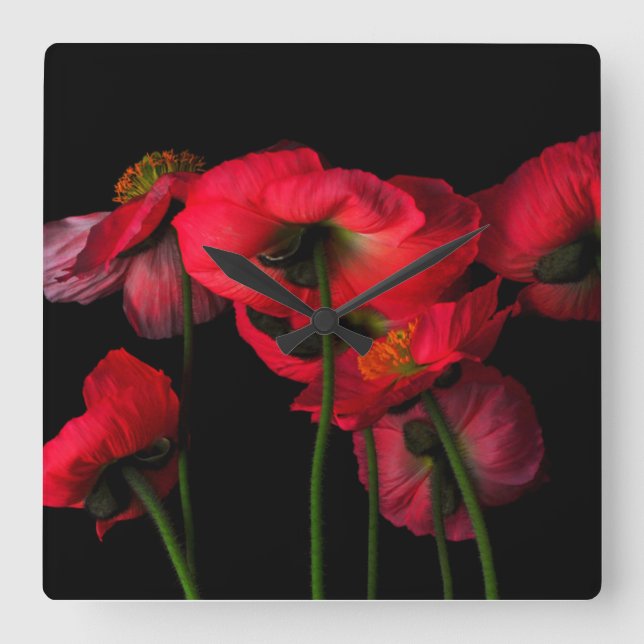 Horloge Carrée Fleurs | Poppies rouges (Recto)