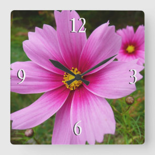 Horloge Carrée Fleurs sauvages de Cosmos rose