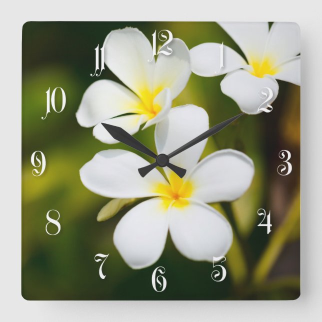 Horloge Carrée Fleurs tropicales frangipaniennes blanches (Recto)