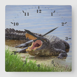 Horloge Carrée Floride alligator sauvage avec bouche ouverte 