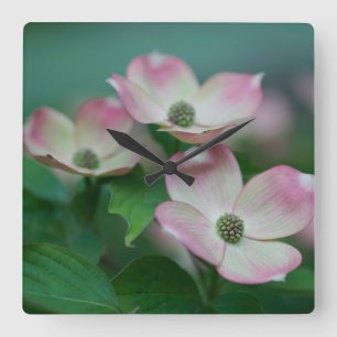 Horloge Carrée Flowers (homonymie) Blossoms de Dogwood