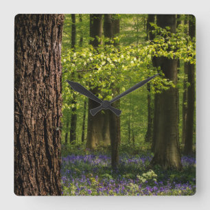 Horloge Carrée Forest Bluebells en Belgique