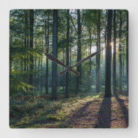 Forêt | Forêt Noire Allemagne