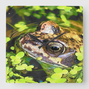 HORLOGE CARRÉE FROG