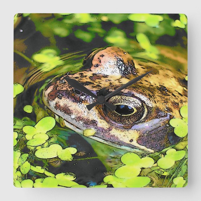 HORLOGE CARRÉE FROG (Recto)