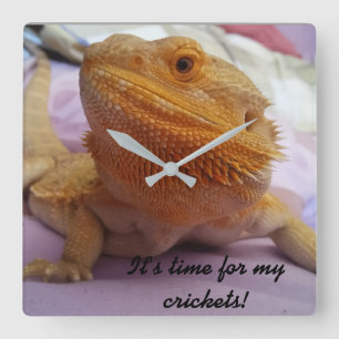 Horloge Carrée Funny Bearded Dragon Picture