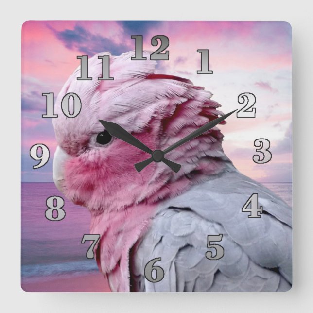 Horloge Carrée Galah Cockatoo (Recto)