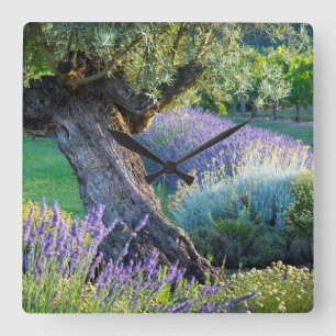 Horloge Carrée Garden scenic with flowers, France