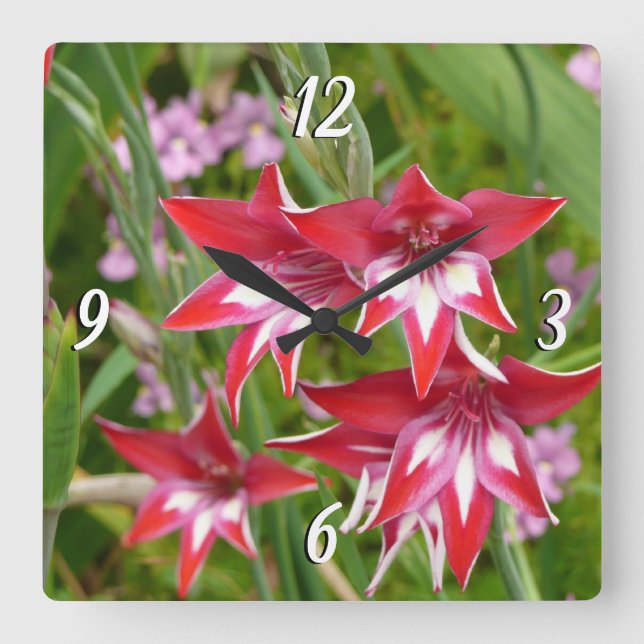 Horloge Carrée Gladiolas rouge et blanc Botanique d'été (Recto)