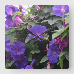 Horloge Carrée Glorieuses du matin bleues de printemps
