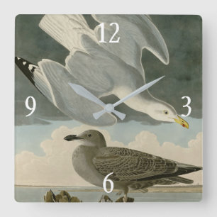 Horloge Carrée Goéland argenté des oiseaux américains de John Aud