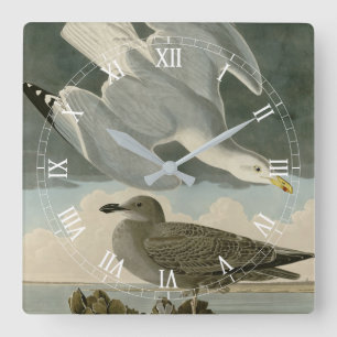Horloge Carrée Goéland argenté des oiseaux d'Amérique de John Aud