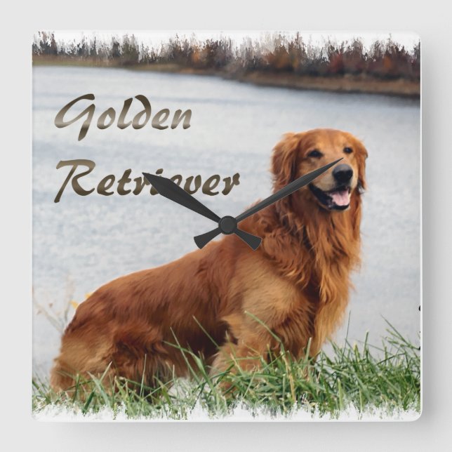 Horloge Carrée Golden retriever (Recto)