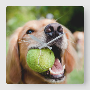 Horloge Carrée Golden Retriever Avec Le Bal De Tennis