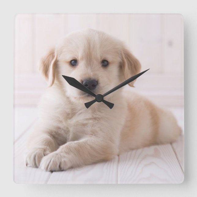 Horloge Carrée Golden retriever se couchant (Recto)