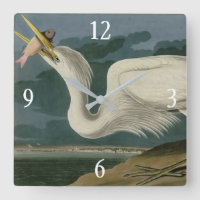 Grand héron blanc, des oiseaux d'Amérique d'Audubo
