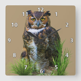 Horloge Carrée Grand hibou à cornes personnalisable