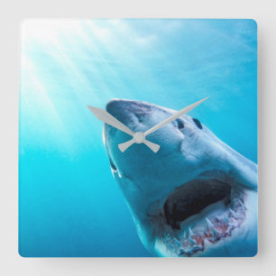 Horloge Carrée Grand requin blanc Afrique du Sud
