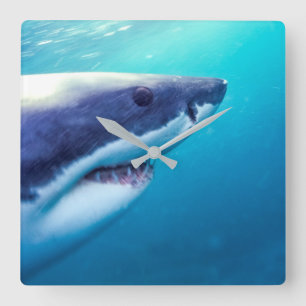 Horloge Carrée Grand requin blanc   Afrique du Sud