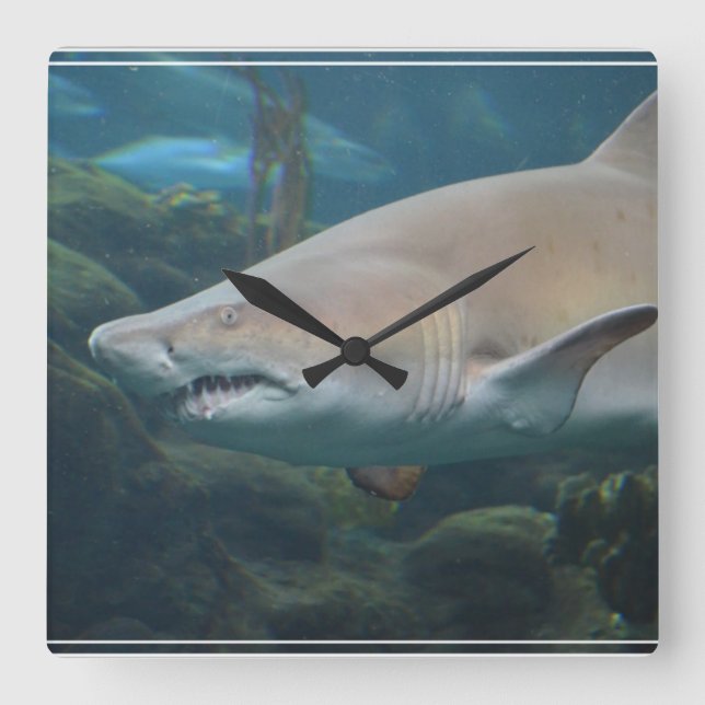 Horloge Carrée Grand requin blanc effrayant (Recto)