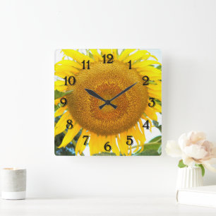 Horloge Carrée Grand tournesol floral jaune
