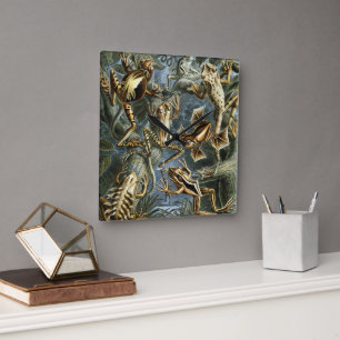 Horloge Carrée Grenouilles et crapauds vintage Batrachia par Erns