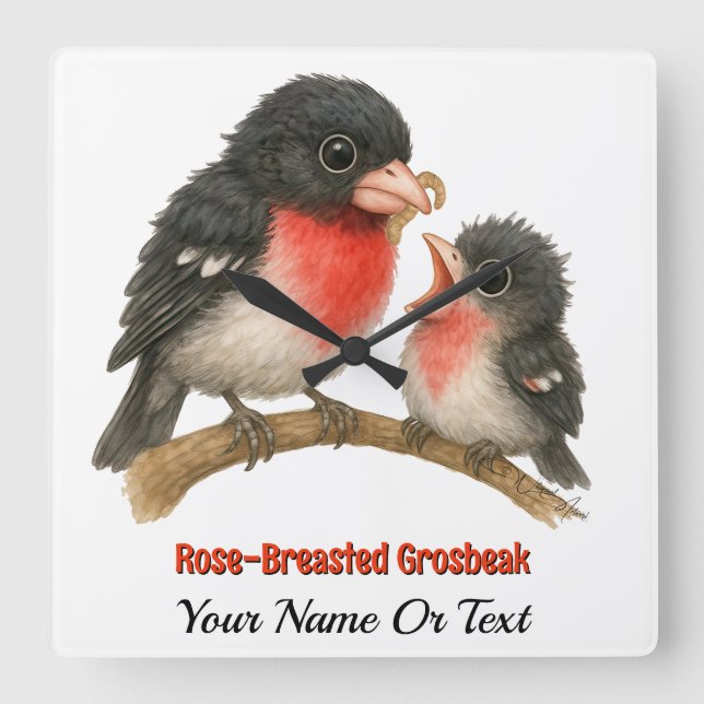 Horloge Carrée Grosbeak à poitrine Rose étonnante (Recto)