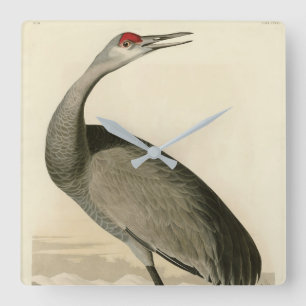 Horloge Carrée Grue de Sandhill d'Audubon's Birds of America