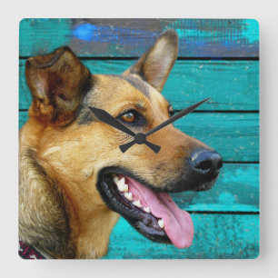 Horloge Carrée Happy German Shepherd Dog