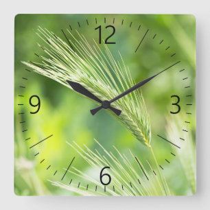 Horloge Carrée Herbe verte
