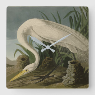 Horloge Carrée Héron blanc, Grandes aigrettes, Oiseaux d'Amérique