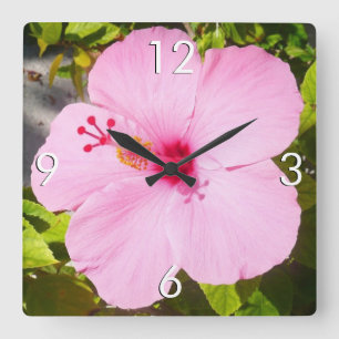 Horloge Carrée Hibiscus rose Fleur tropicale