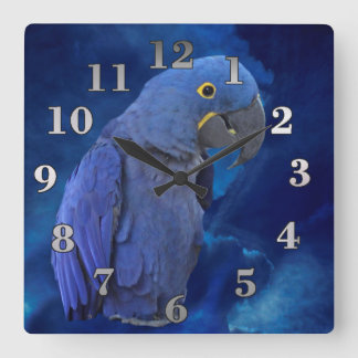 Horloge Carrée Hyacinth Macaw