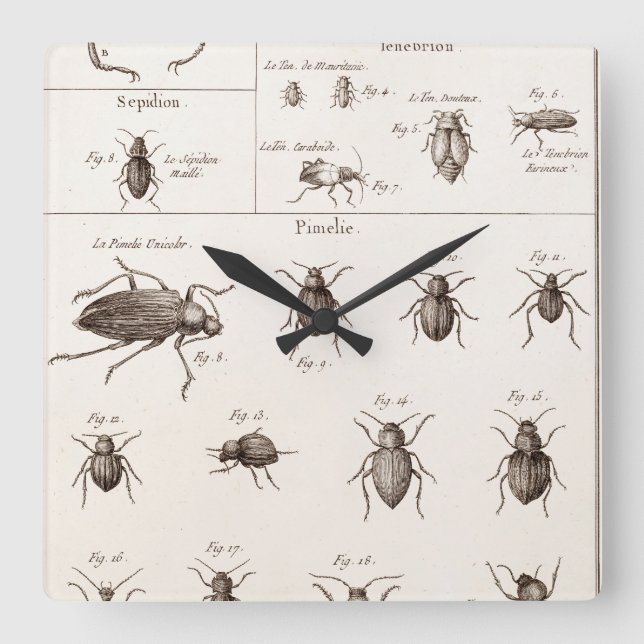 Horloge Carrée Illustration des insectes des insectes des années  (Recto)